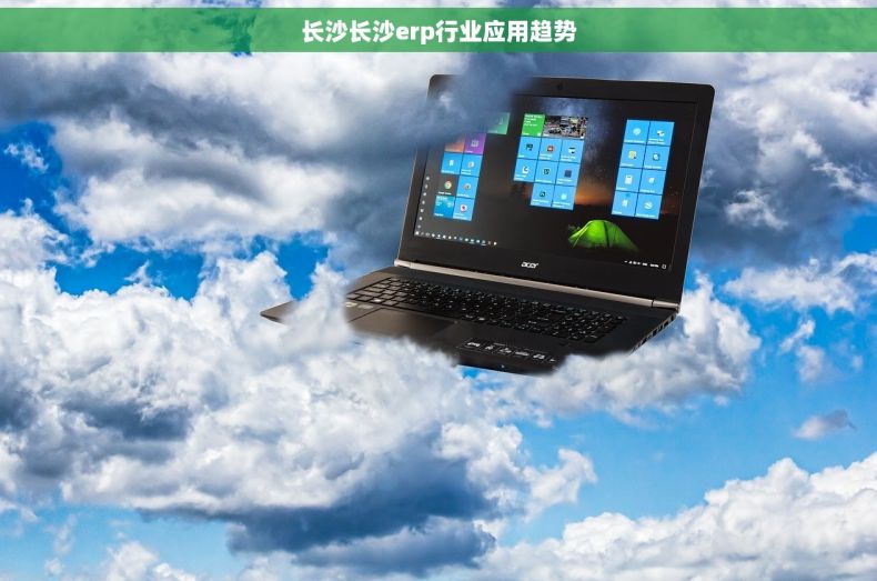 长沙长沙erp行业应用趋势