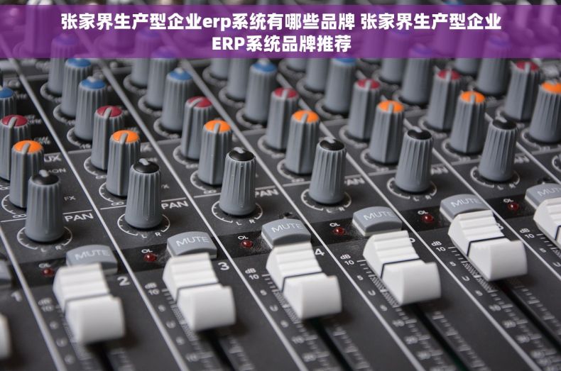 张家界生产型企业erp系统有哪些品牌 张家界生产型企业ERP系统品牌推荐 张家界生产型企业erp系统有哪些品牌 张家界生产型企业ERP系统品牌推荐