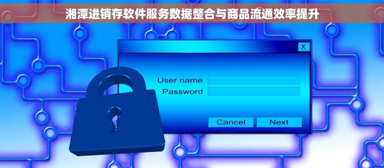 湘潭进销存软件服务数据整合与商品流通效率提升 湘潭进销存软件服务数据整合与商品流通效率提升