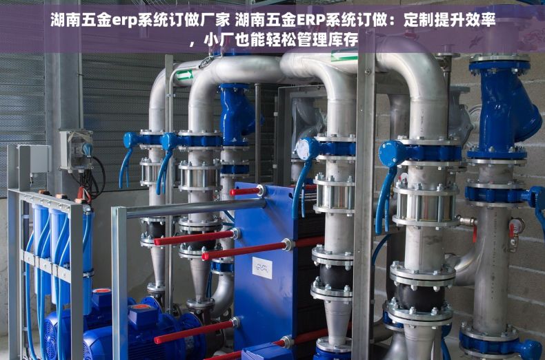 湖南五金erp系统订做厂家 湖南五金ERP系统订做:定制提升效率,小厂也能轻松管理库存 湖南五金erp系统订做厂家 湖南五金ERP系统订做:定制提升效率,小厂也能轻松管理库存