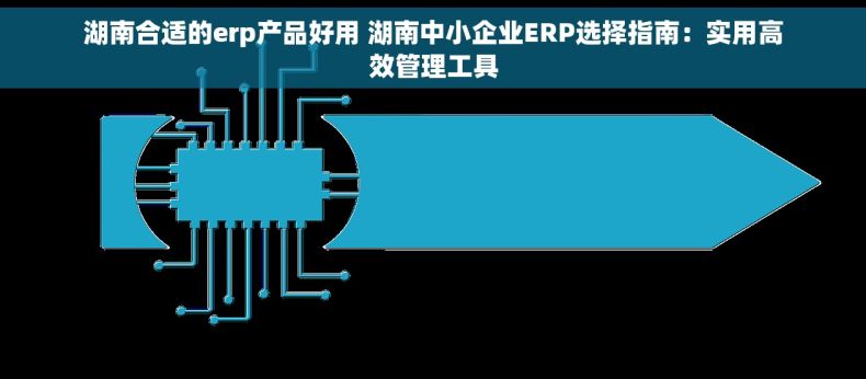 湖南合适的erp产品好用 湖南中小企业ERP选择指南:实用高效管理工具 湖南合适的erp产品好用 湖南中小企业ERP选择指南:实用高效管理工具