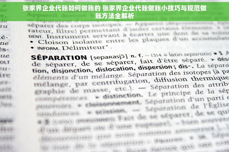 张家界企业代账如何做账的 张家界企业代账做账小技巧与规范做账方法全解析