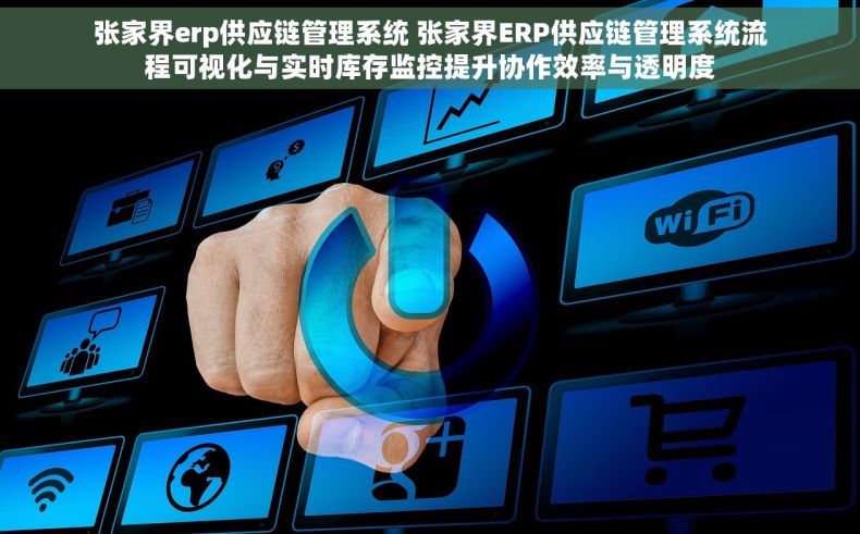 张家界erp供应链管理系统 张家界ERP供应链管理系统流程可视化与实时库存监控提升协作效率与透明度