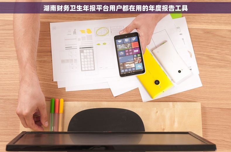 湖南财务卫生年报平台用户都在用的年度报告工具 湖南财务卫生年报平台用户都在用的年度报告工具