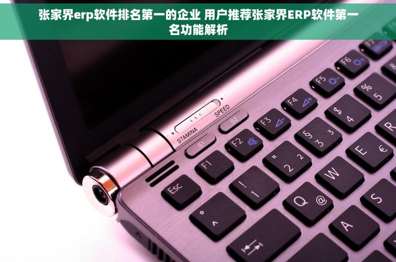 张家界erp软件排名第一的企业 用户推荐张家界ERP软件第一名功能解析 张家界erp软件排名第一的企业 用户推荐张家界ERP软件第一名功能解析