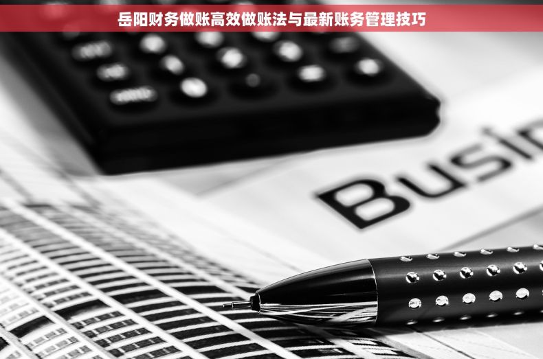 岳阳财务做账高效做账法与最新账务管理技巧 岳阳财务做账高效做账法与最新账务管理技巧