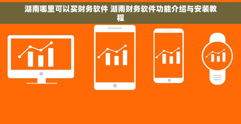 湖南哪里可以买财务软件 湖南财务软件功能介绍与安装教程 湖南哪里可以买财务软件 湖南财务软件功能介绍与安装教程