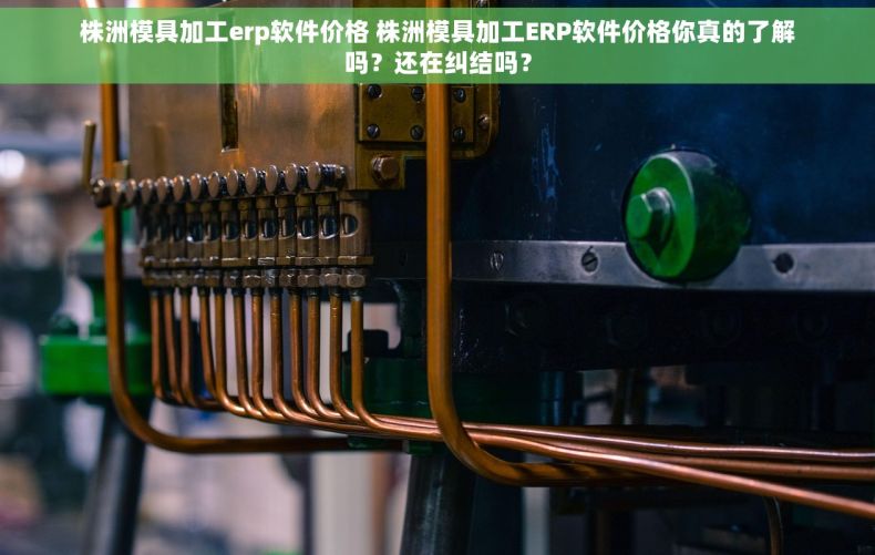株洲模具加工erp软件价格 株洲模具加工ERP软件价格你真的了解吗?还在纠结吗? 株洲模具加工erp软件价格 株洲模具加工ERP软件价格你真的了解吗?还在纠结吗?