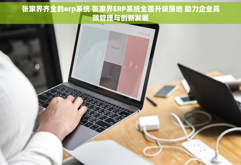 张家界齐全的erp系统 张家界ERP系统全面升级落地 助力企业高效管理与创新发展