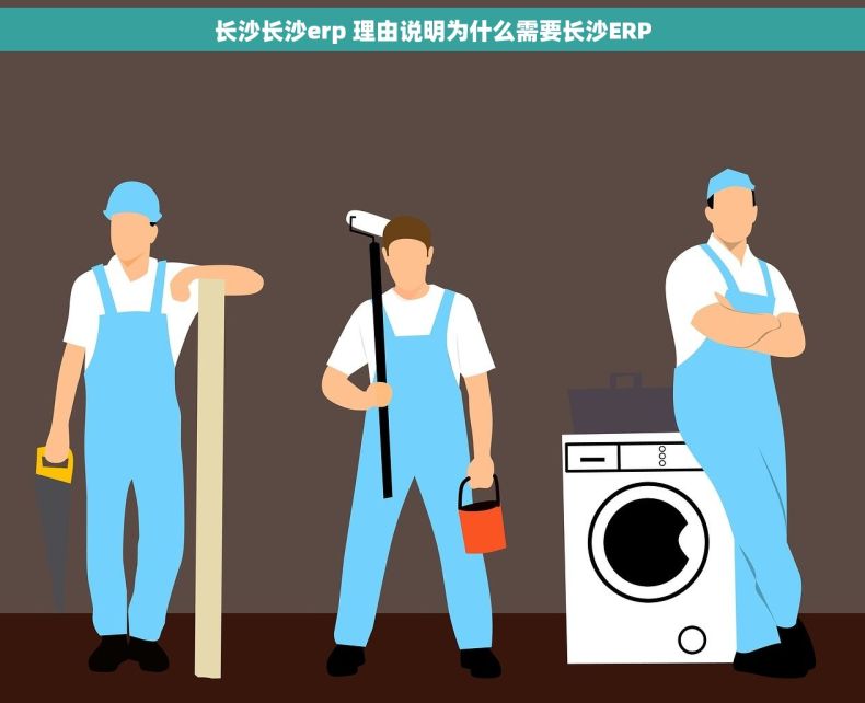 长沙长沙erp 理由说明为什么需要长沙ERP 长沙长沙erp 理由说明为什么需要长沙ERP
