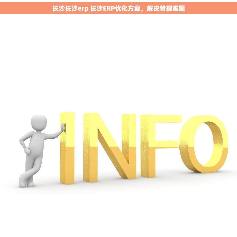 长沙长沙erp 长沙ERP优化方案,解决管理难题 长沙长沙erp 长沙ERP优化方案,解决管理难题