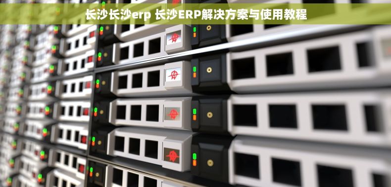 长沙长沙erp 长沙ERP解决方案与使用教程 长沙长沙erp 长沙ERP解决方案与使用教程