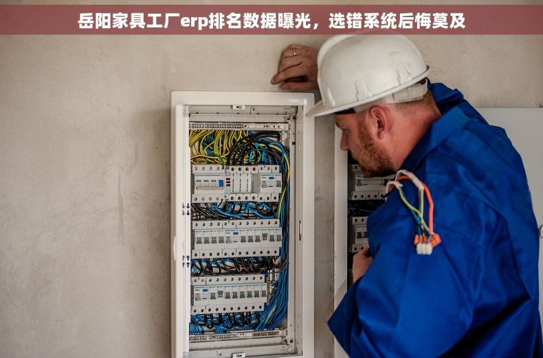 岳阳家具工厂erp排名数据曝光,选错系统后悔莫及 岳阳家具工厂erp排名数据曝光,选错系统后悔莫及