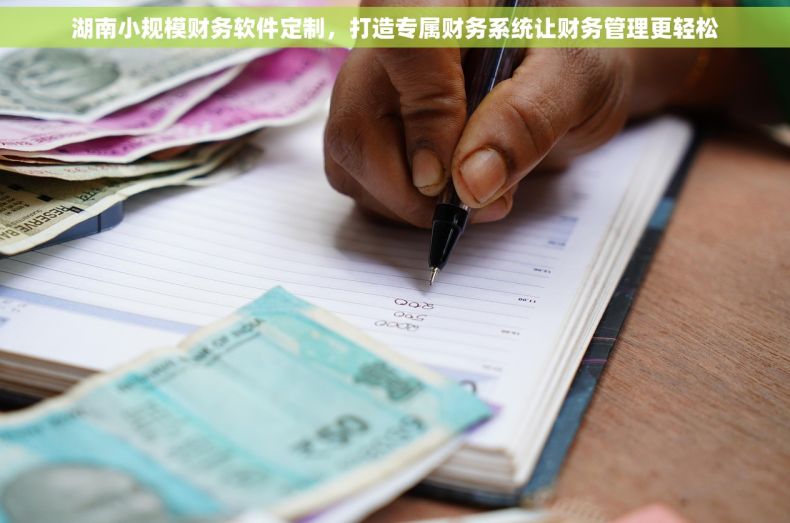 湖南小规模财务软件定制,打造专属财务系统让财务管理更轻松 湖南小规模财务软件定制,打造专属财务系统让财务管理更轻松