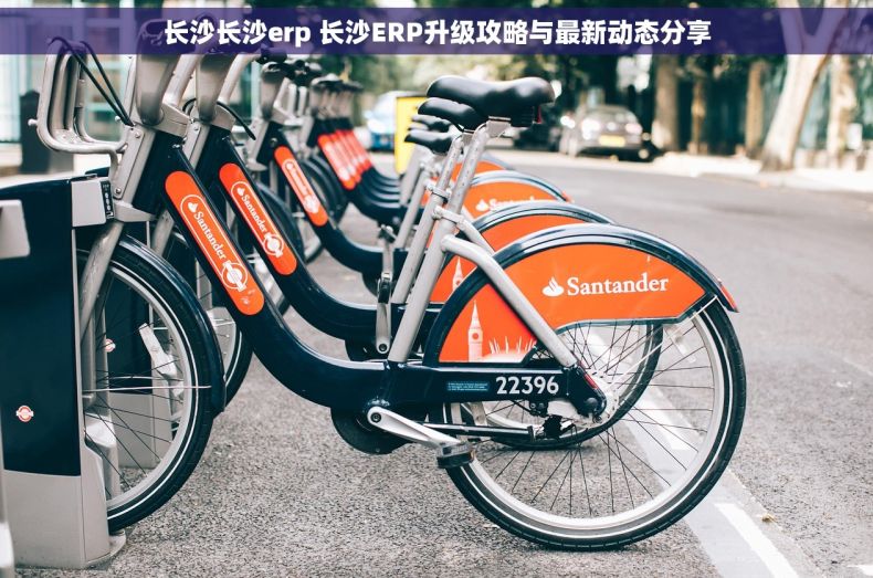 长沙长沙erp 长沙ERP升级攻略与最新动态分享 长沙长沙erp 长沙ERP升级攻略与最新动态分享
