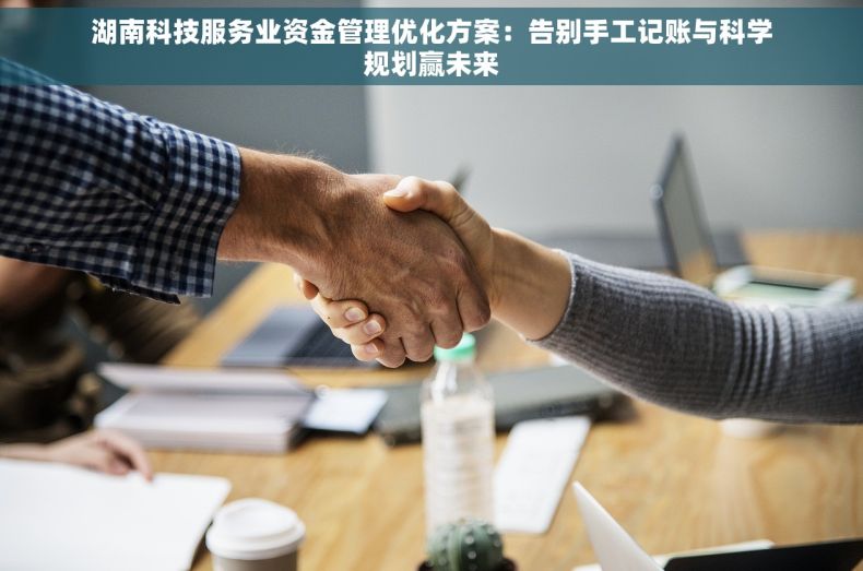 湖南科技服务业资金管理优化方案:告别手工记账与科学规划赢未来 湖南科技服务业资金管理优化方案:告别手工记账与科学规划赢未来