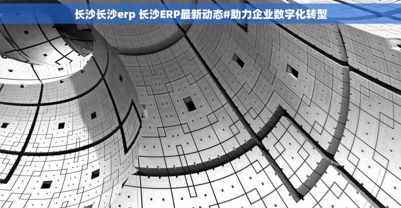 长沙长沙erp 长沙ERP最新动态#助力企业数字化转型 长沙长沙erp 长沙ERP最新动态#助力企业数字化转型