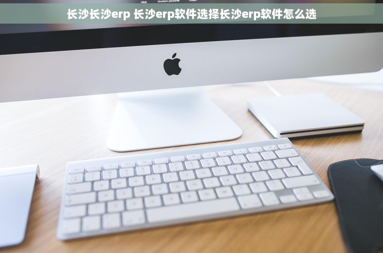 长沙长沙erp 长沙erp软件选择长沙erp软件怎么选 长沙长沙erp 长沙erp软件选择长沙erp软件怎么选