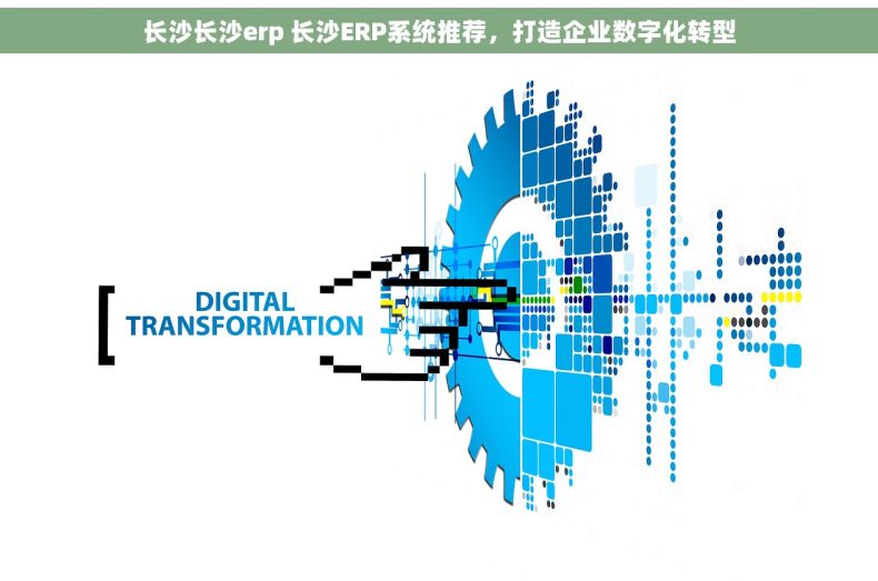 长沙长沙erp 长沙ERP系统推荐,打造企业数字化转型 长沙长沙erp 长沙ERP系统推荐,打造企业数字化转型
