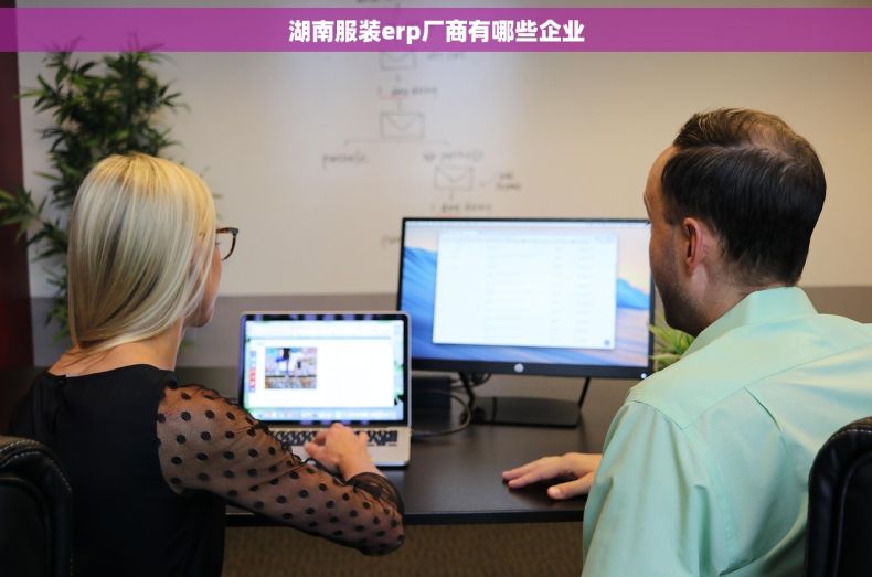 湖南服装erp厂商有哪些企业 湖南服装erp厂商有哪些企业