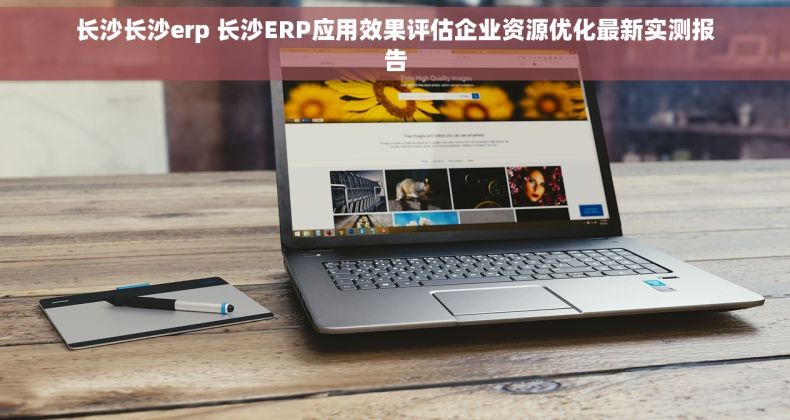 长沙长沙erp 长沙ERP应用效果评估企业资源优化最新实测报告 长沙长沙erp 长沙ERP应用效果评估企业资源优化最新实测报告