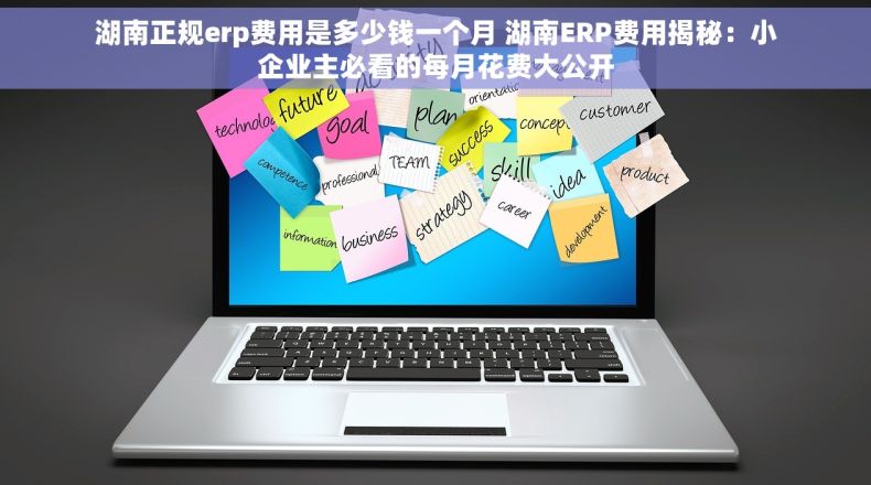 湖南正规erp费用是多少钱一个月 湖南ERP费用揭秘:小企业主必看的每月花费大公开 湖南正规erp费用是多少钱一个月 湖南ERP费用揭秘:小企业主必看的每月花费大公开