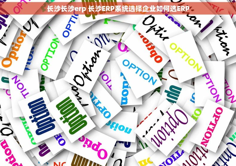 长沙长沙erp 长沙ERP系统选择企业如何选ERP 长沙长沙erp 长沙ERP系统选择企业如何选ERP