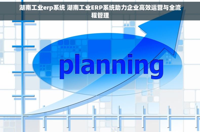 湖南工业erp系统 湖南工业ERP系统助力企业高效运营与全流程管理 湖南工业erp系统 湖南工业ERP系统助力企业高效运营与全流程管理