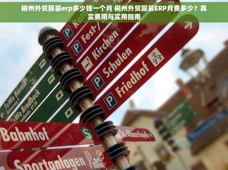 郴州外贸服装erp多少钱一个月 郴州外贸服装ERP月费多少?真实费用与实用指南 郴州外贸服装erp多少钱一个月 郴州外贸服装ERP月费多少?真实费用与实用指南