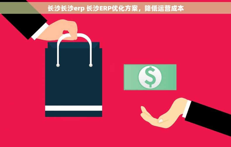长沙长沙erp 长沙ERP优化方案,降低运营成本 长沙长沙erp 长沙ERP优化方案,降低运营成本