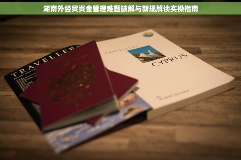 湖南外经贸资金管理难题破解与新规解读实操指南 湖南外经贸资金管理难题破解与新规解读实操指南