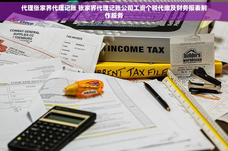 代理张家界代理记账 张家界代理记账公司工资个税代缴及财务报表制作服务 代理张家界代理记账 张家界代理记账公司工资个税代缴及财务报表制作服务