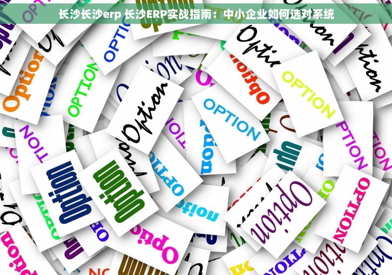长沙长沙erp 长沙ERP实战指南:中小企业如何选对系统 长沙长沙erp 长沙ERP实战指南:中小企业如何选对系统