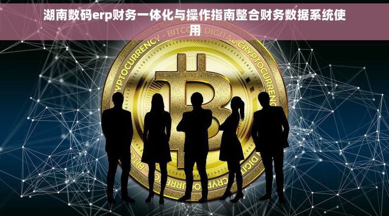 湖南数码erp财务一体化与操作指南整合财务数据系统使用 湖南数码erp财务一体化与操作指南整合财务数据系统使用