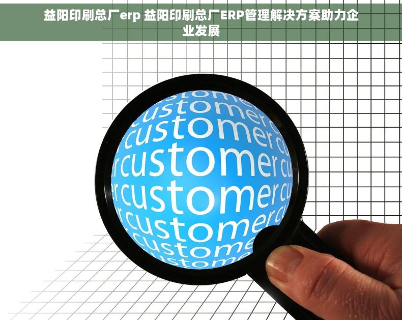 益阳印刷总厂erp 益阳印刷总厂ERP管理解决方案助力企业发展 益阳印刷总厂erp 益阳印刷总厂ERP管理解决方案助力企业发展