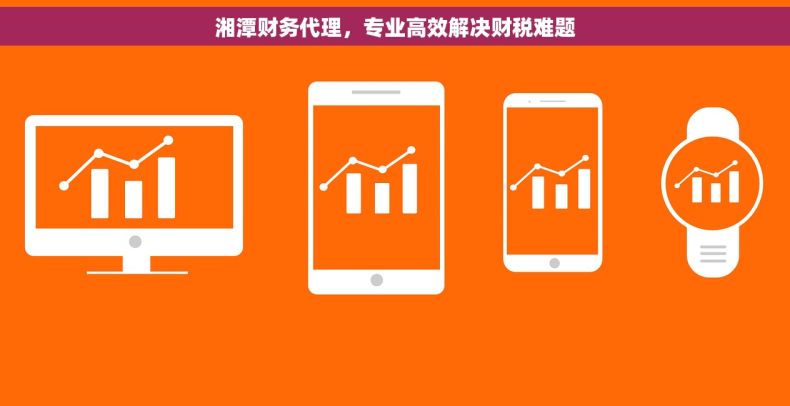 湘潭财务代理,专业高效解决财税难题 湘潭财务代理,专业高效解决财税难题