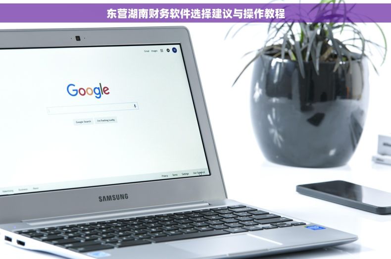 东营湖南财务软件选择建议与操作教程 东营湖南财务软件选择建议与操作教程