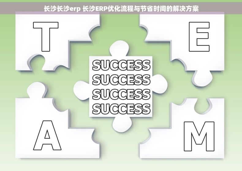 长沙长沙erp 长沙ERP优化流程与节省时间的解决方案 长沙长沙erp 长沙ERP优化流程与节省时间的解决方案