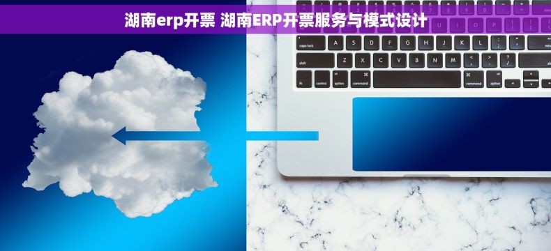 湖南erp开票 湖南ERP开票服务与模式设计 湖南erp开票 湖南ERP开票服务与模式设计