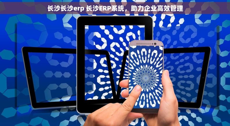 长沙长沙erp 长沙ERP系统,助力企业高效管理 长沙长沙erp 长沙ERP系统,助力企业高效管理