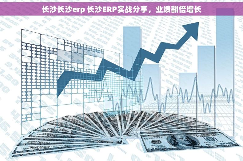 长沙长沙erp 长沙ERP实战分享,业绩翻倍增长 长沙长沙erp 长沙ERP实战分享,业绩翻倍增长