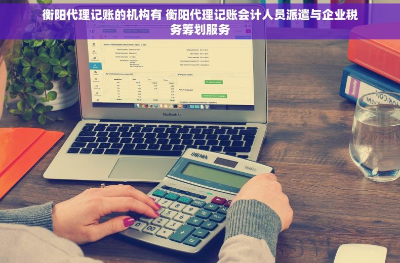 衡阳代理记账的机构有 衡阳代理记账会计人员派遣与企业税务筹划服务 衡阳代理记账的机构有 衡阳代理记账会计人员派遣与企业税务筹划服务