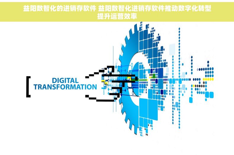 益阳数智化的进销存软件 益阳数智化进销存软件推动数字化转型提升运营效率 益阳数智化的进销存软件 益阳数智化进销存软件推动数字化转型提升运营效率