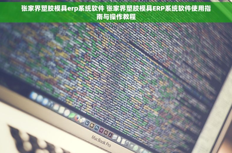 张家界塑胶模具erp系统软件 张家界塑胶模具ERP系统软件使用指南与操作教程 张家界塑胶模具erp系统软件 张家界塑胶模具ERP系统软件使用指南与操作教程