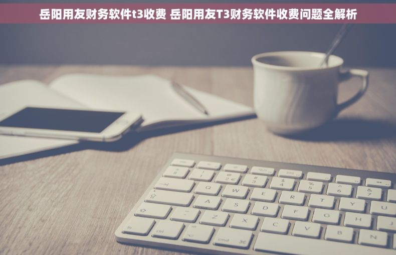 岳阳用友财务软件t3收费 岳阳用友T3财务软件收费问题全解析 岳阳用友财务软件t3收费 岳阳用友T3财务软件收费问题全解析
