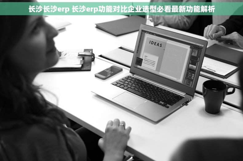 长沙长沙erp 长沙erp功能对比企业选型必看最新功能解析 长沙长沙erp 长沙erp功能对比企业选型必看最新功能解析