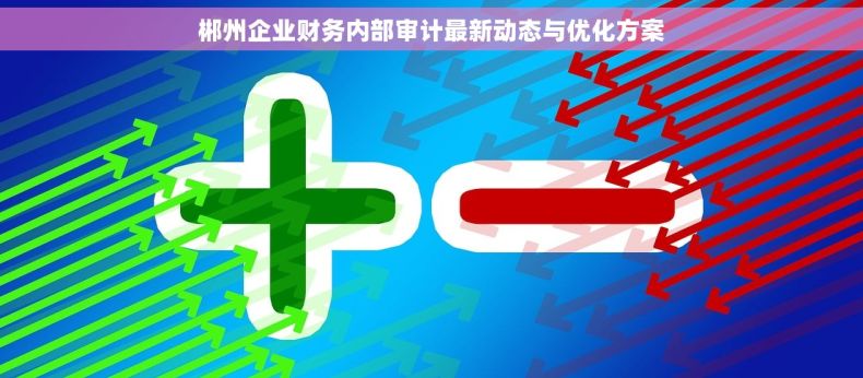 郴州企业财务内部审计最新动态与优化方案 郴州企业财务内部审计最新动态与优化方案
