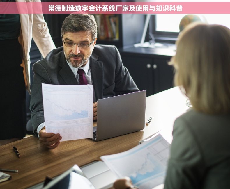 常德制造数字会计系统厂家及使用与知识科普 常德制造数字会计系统厂家及使用与知识科普