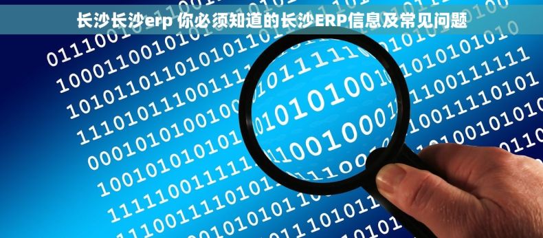 长沙长沙erp 你必须知道的长沙ERP信息及常见问题 长沙长沙erp 你必须知道的长沙ERP信息及常见问题