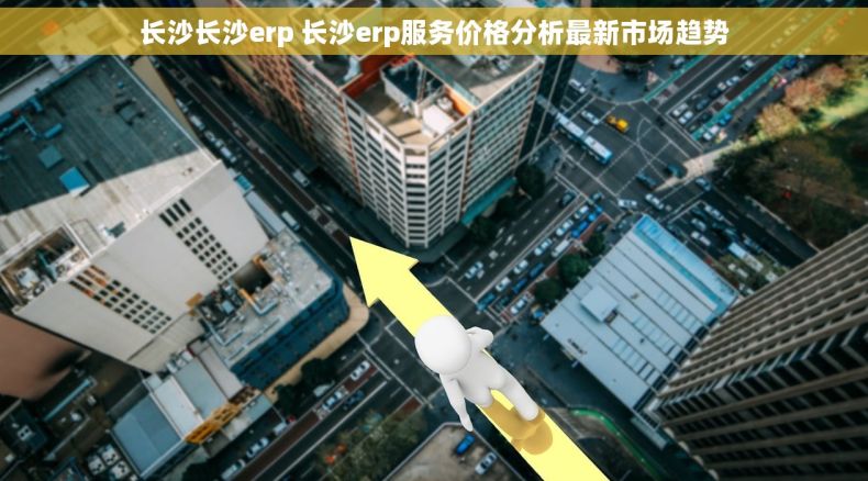 长沙长沙erp 长沙erp服务价格分析最新市场趋势 长沙长沙erp 长沙erp服务价格分析最新市场趋势